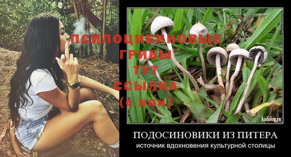 спайс Абинск